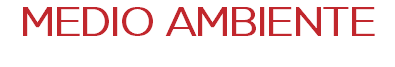 MEDIO AMBIENTE